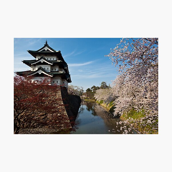 Separation of Beauty Photographic Print