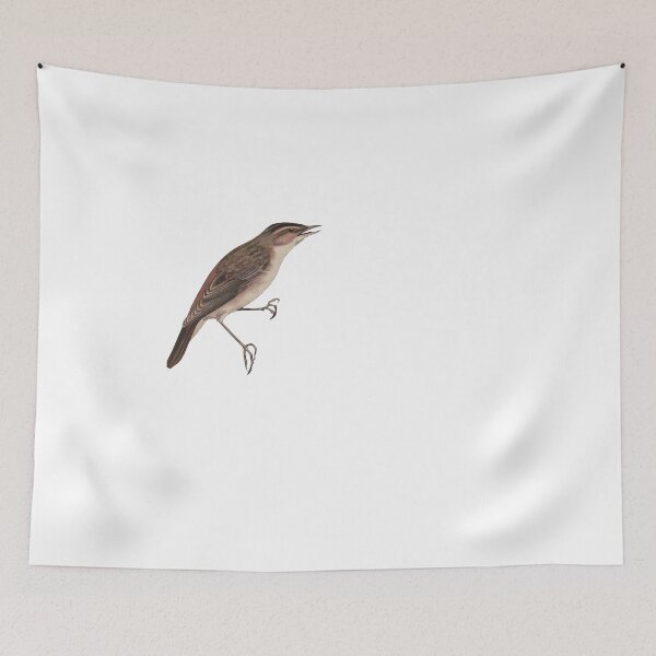 Item preview, Bird Art - sedge warbler  - Vintage Print Art designed and sold by Studio66Designs.