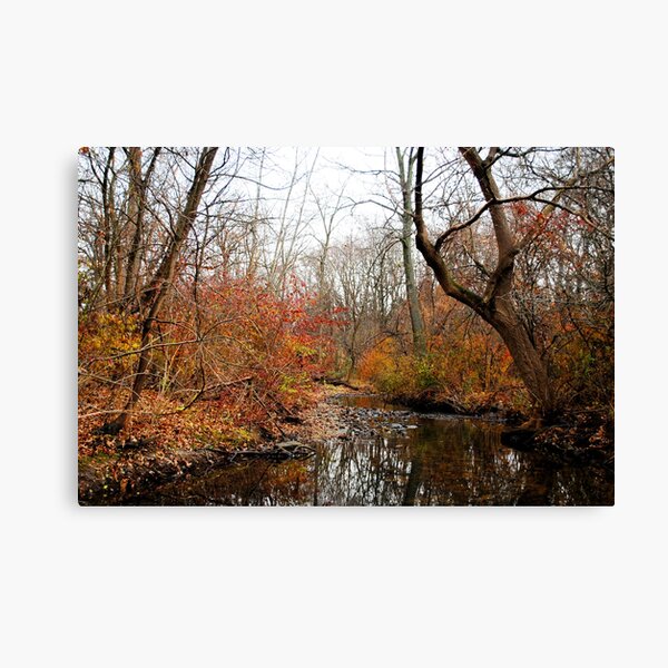 After the First Frost Canvas Print