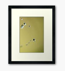 "String of Pearls" Framed Print