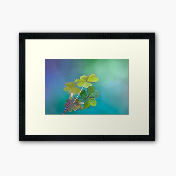In love with nature Framed Art Print