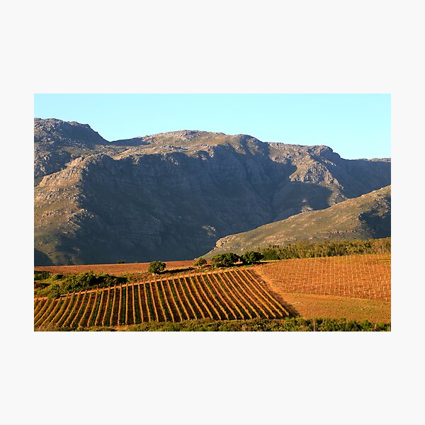 Item preview, Farmland designed and sold by Riana222.