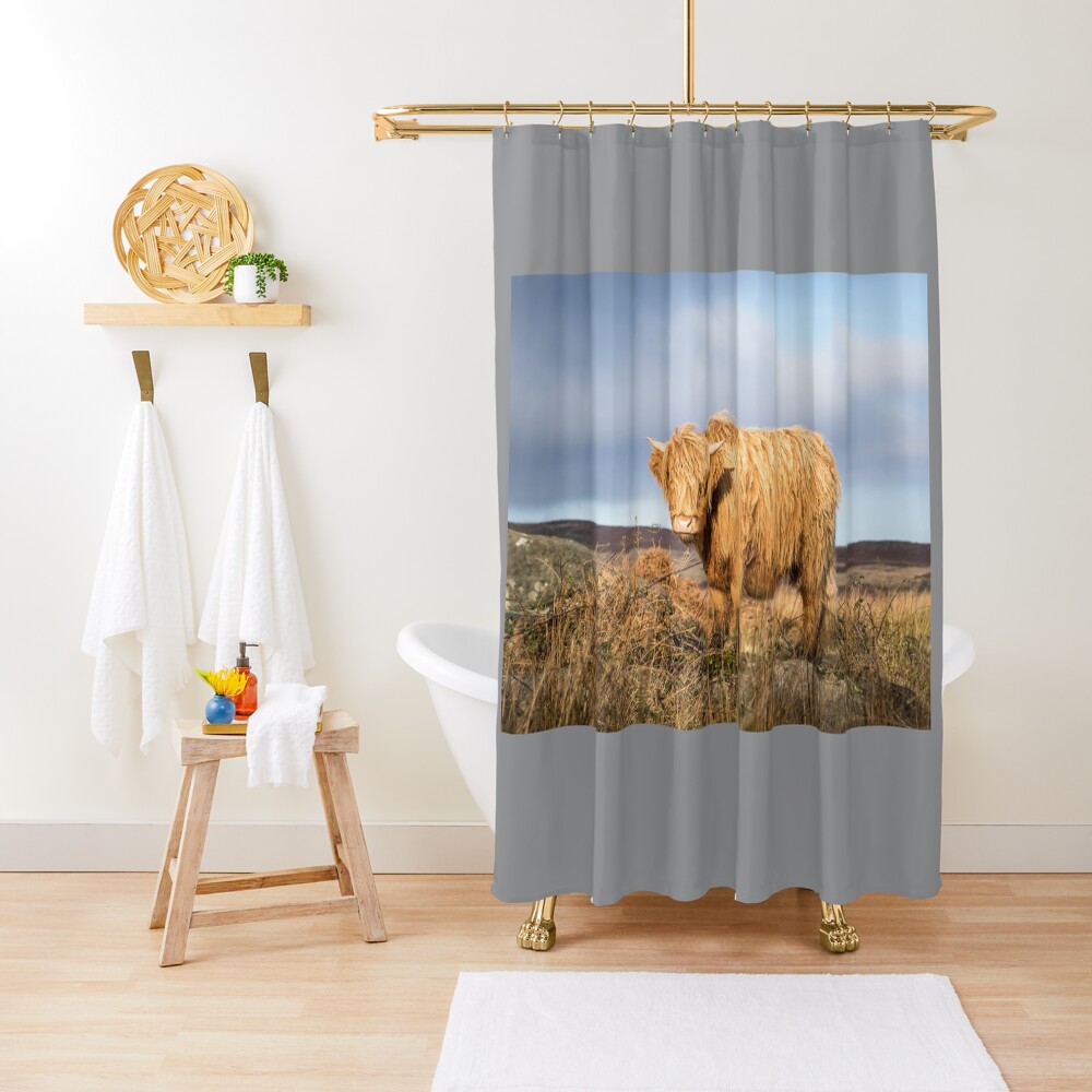 "Windswept Highland Cow" Shower Curtain for Sale by JStanley19 Redbubble