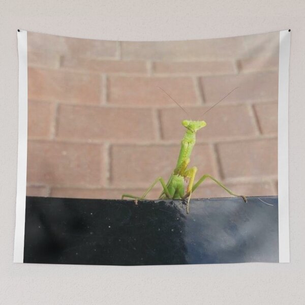 Item preview, praying mantis designed and sold by MarsEsmeVT.