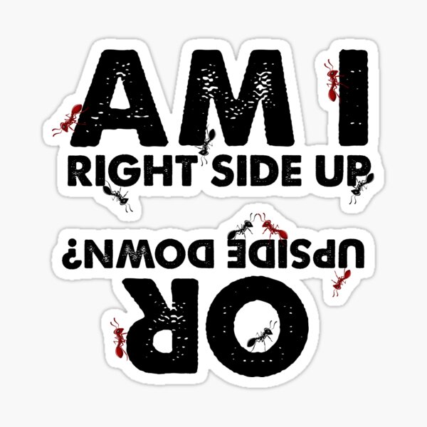 Am I Right Side Up or Upside Down? Sticker
