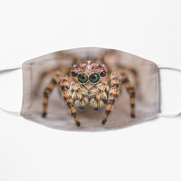 Orange-Brown Jumping Spider in The Kitchen Flat Mask