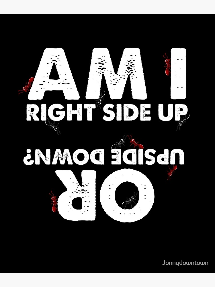 am-i-right-side-up-or-upside-down-poster-by-jonnydowntown-redbubble