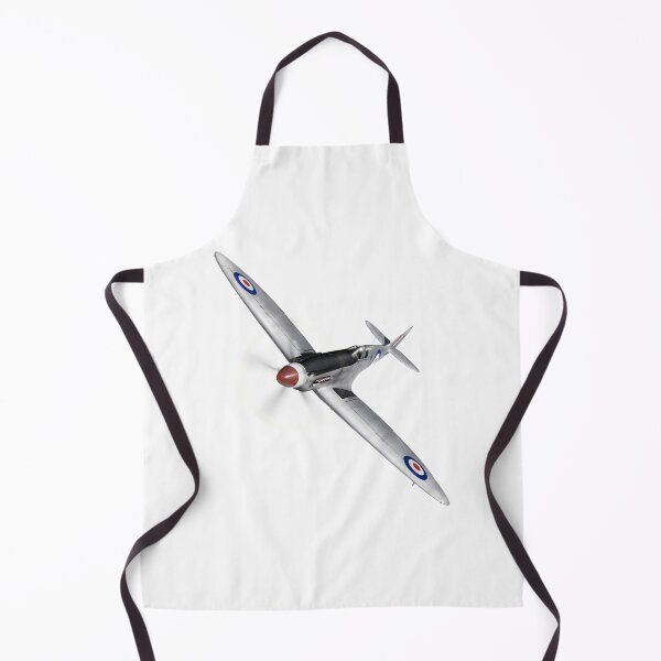 Item preview, Silver Spitfire PR Mk XIX designed and sold by Flight Artworks.