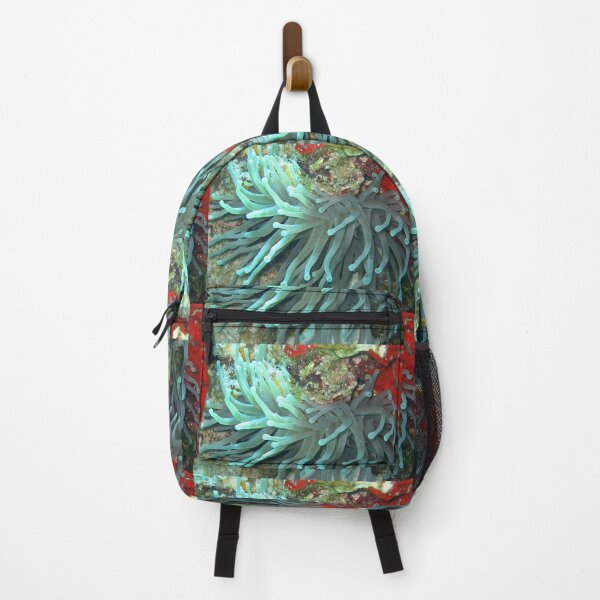 Item preview, Reef 5 designed and sold by amreli.