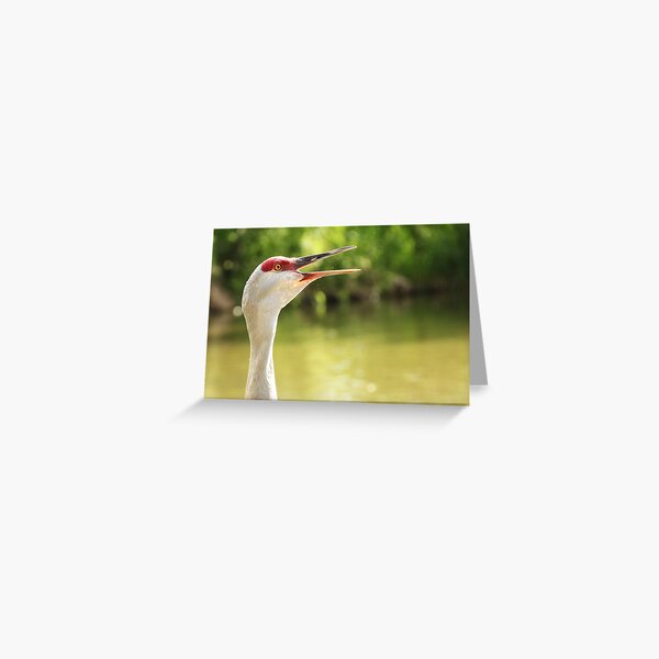 Item preview, Sandhill Crane Calling designed and sold by Tracy Friesen.