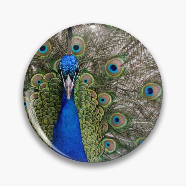 Item preview, Peacock designed and sold by Cathy Griffiths.