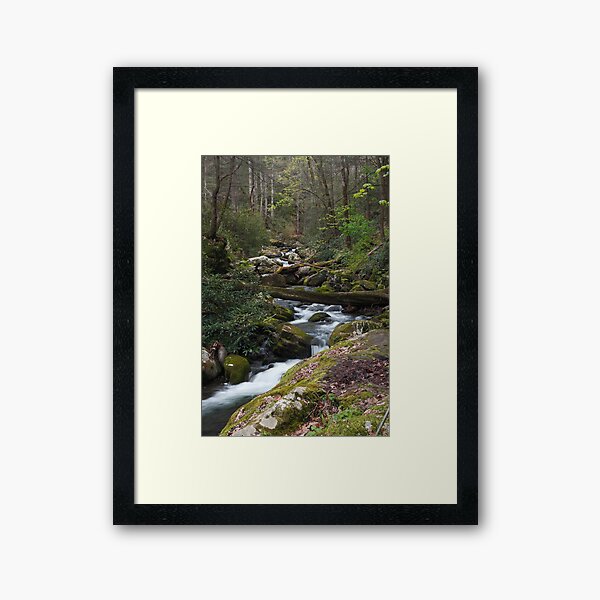 Roaring Fork Framed Art Print