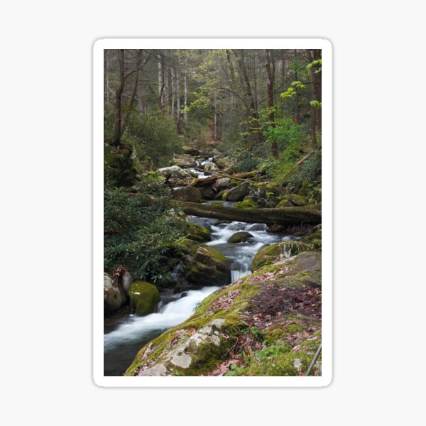 Roaring Fork Sticker