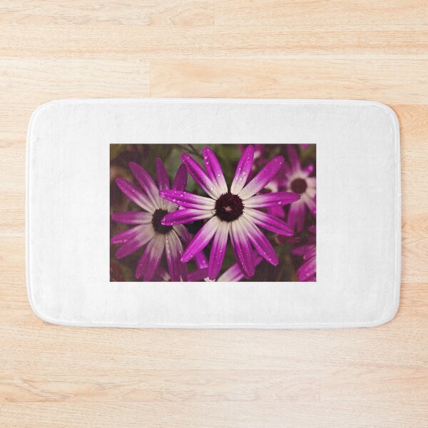 Item preview, Daisy Daisy designed and sold by Cathy Griffiths.