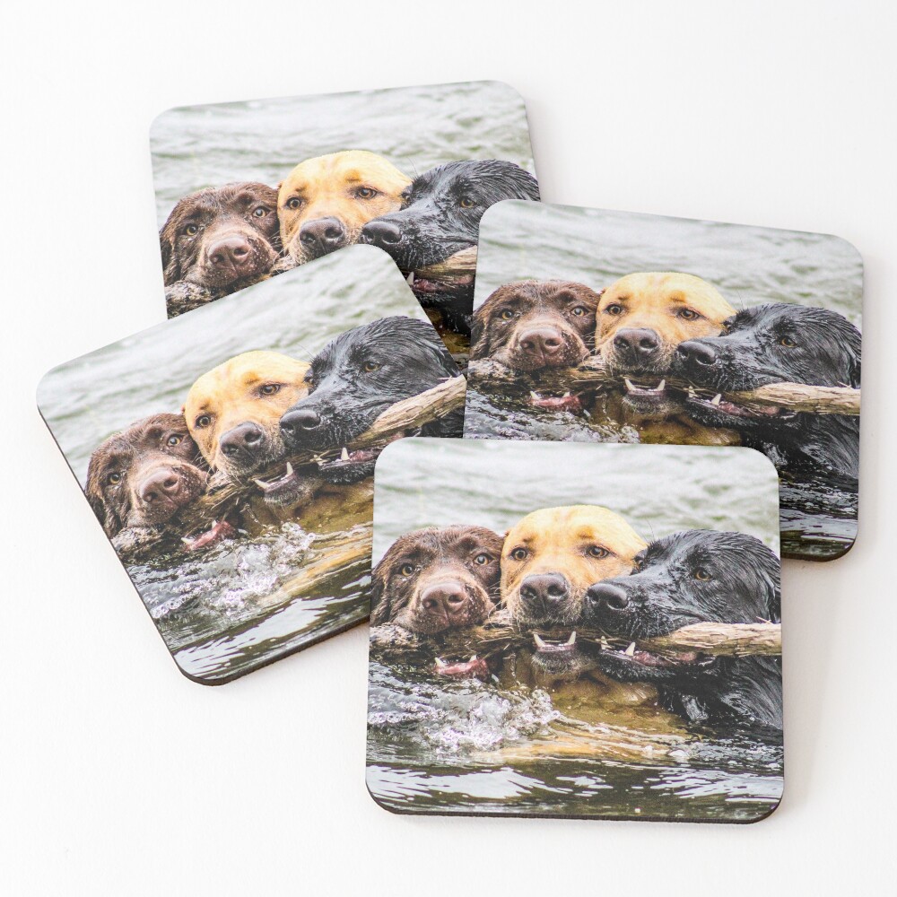 Item preview, Coasters (Set of 4) designed and sold by Rpaul13.