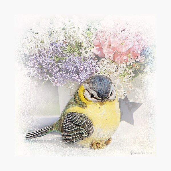 Happy bird Photographic Print