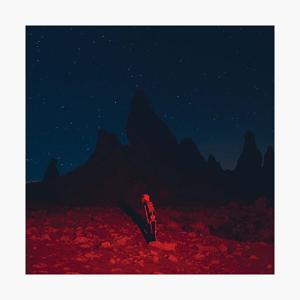 Punisher Phoebe Bridgers Album Cover Photographic Print