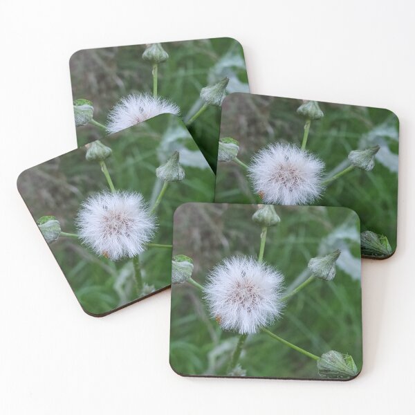 Item preview, Dandelion designed and sold by CreativeWorld96.