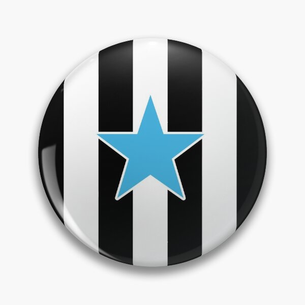 Discover Newcastle Star | Pin