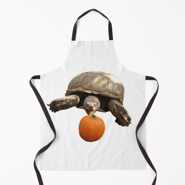 Item preview, Happy Sulcata designed and sold by misimichu.