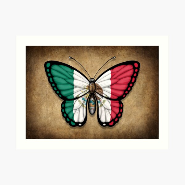 Amazoncom  DG Graphics Mexico Butterfly Flag Art Decor 4 x 5 Vinyl  Decal Sticker Wall Window Any Smooth Surface