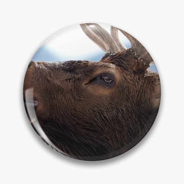Item preview, Watercolor Elk Bull 57, Estes Park, Colorado, Bugler designed and sold by CarlsonImagery4.