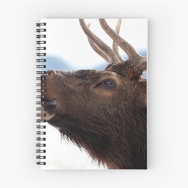 Item preview, Watercolor Elk Bull 57, Estes Park, Colorado, Bugler designed and sold by CarlsonImagery4.