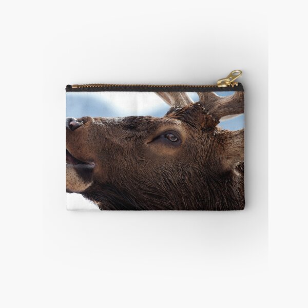Item preview, Watercolor Elk Bull 57, Estes Park, Colorado, Bugler designed and sold by CarlsonImagery4.