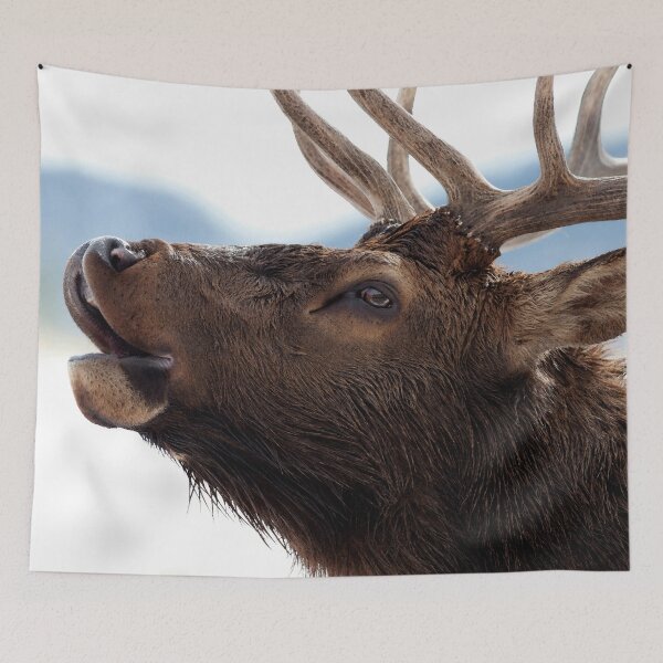 Item preview, Watercolor Elk Bull 57, Estes Park, Colorado, Bugler designed and sold by CarlsonImagery4.
