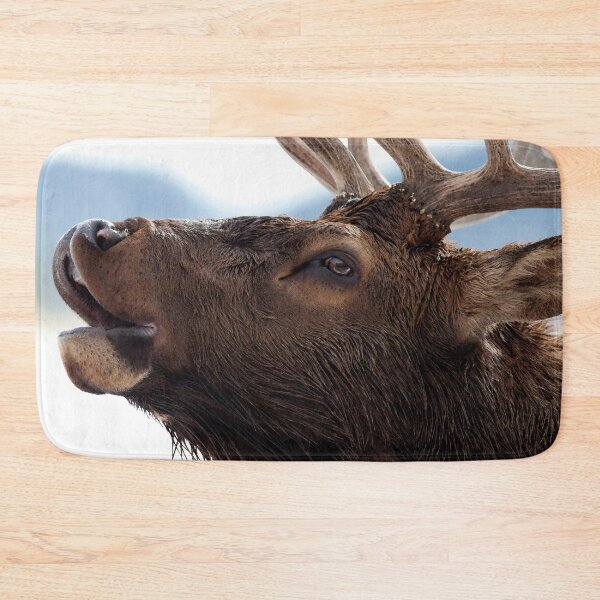 Item preview, Watercolor Elk Bull 57, Estes Park, Colorado, Bugler designed and sold by CarlsonImagery4.