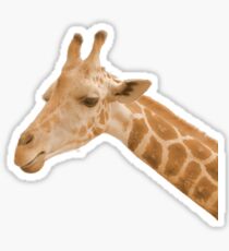 Orange Neon Giraffe Sticker
