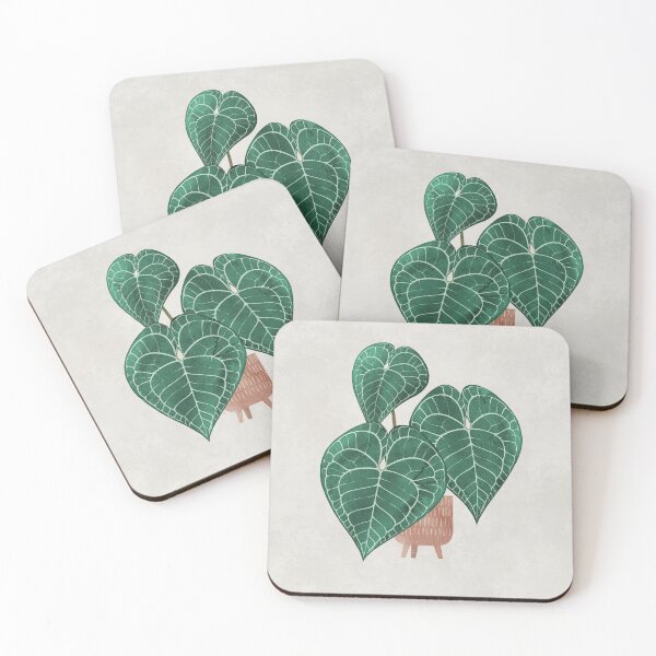 Item preview, Anthurium clarinervium (potted) designed and sold by Iker Paz Studio.