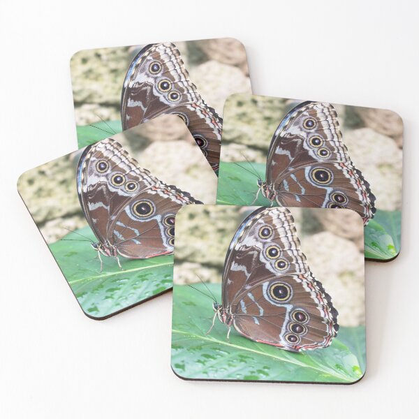 Item preview, Brown Butterfly & Green Leaf designed and sold by ZophiaSolaris.
