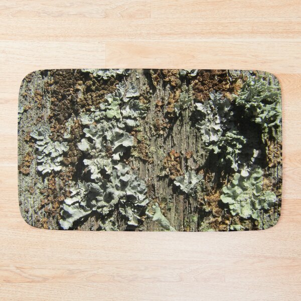 Item preview, Lichens on a fencepost designed and sold by joshuarainbird.