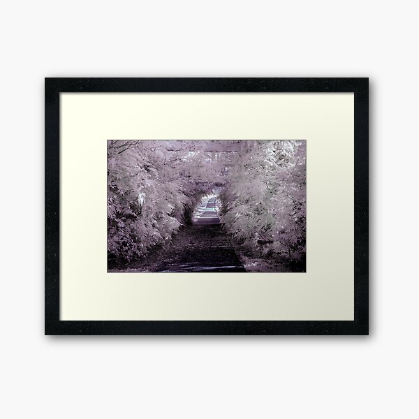 Trelis Framed Art Print