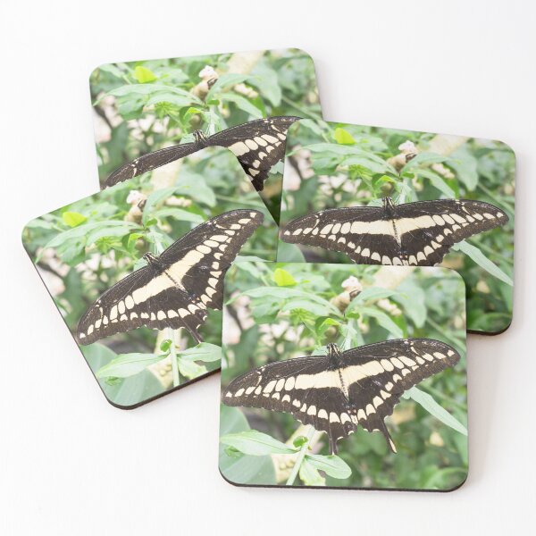 Item preview, Beautiful Butterfly designed and sold by ZophiaSolaris.