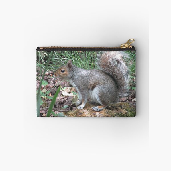 Item preview, Grey squirrel designed and sold by joshuarainbird.