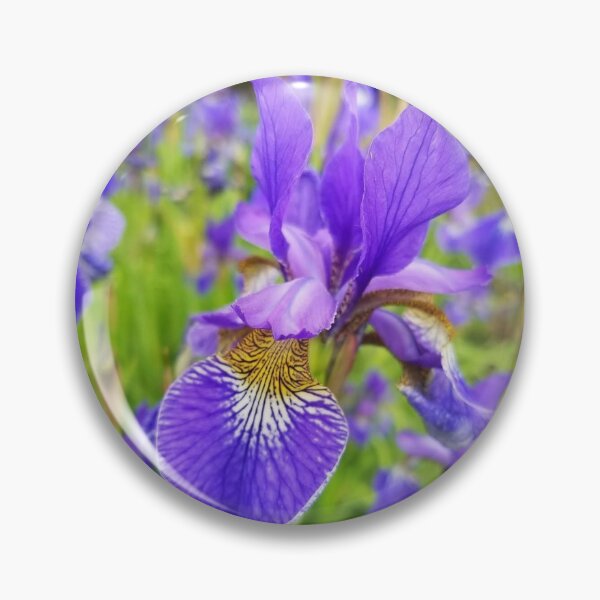 Item preview, Purple Iris designed and sold by HarshPerception.
