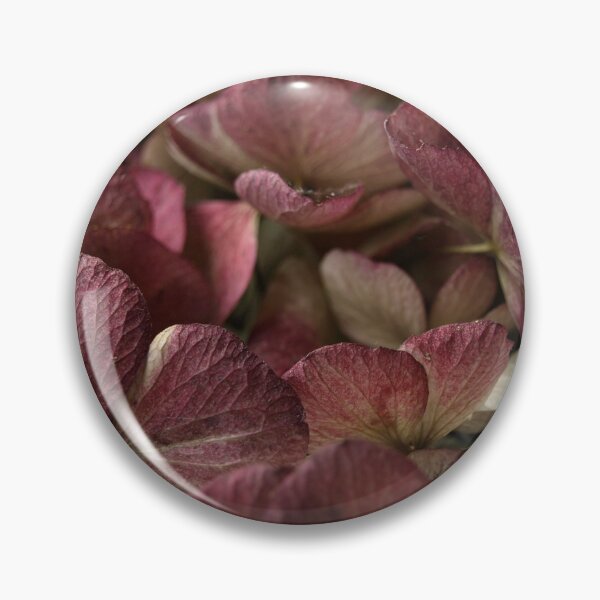Artikelvorschau, Dried Hydrangea entworfen und verkauft von kostolany244.
