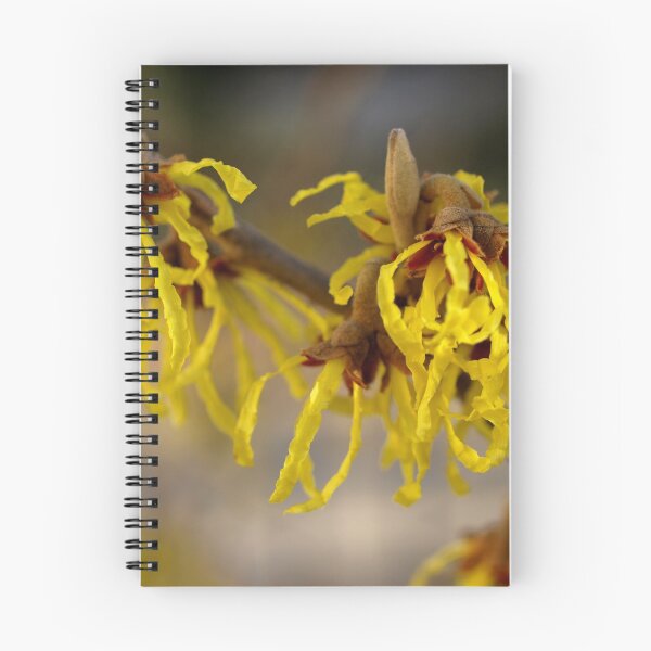 Item preview, Spring is here designed and sold by kostolany244.