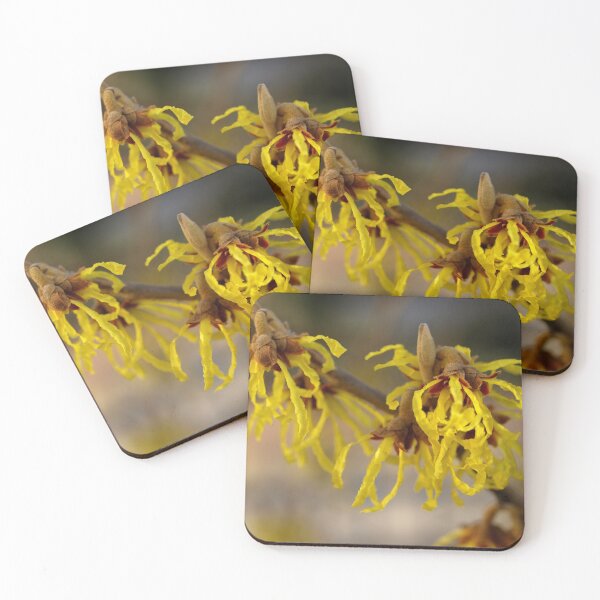 Item preview, Spring is here designed and sold by kostolany244.