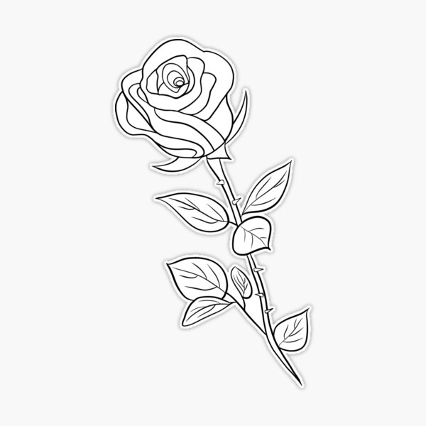 Outlined rose image