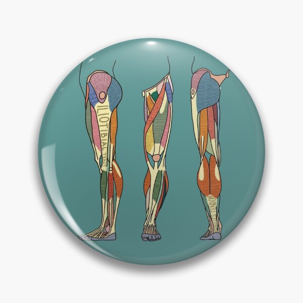 Item preview, Leg Muscles Labeled designed and sold by AtlasPrints.