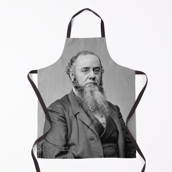 Item preview, Edwin Stanton - 27th US Secretary of War designed and sold by warishellstore.