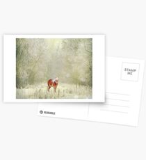 Caught In A Storm Postcards