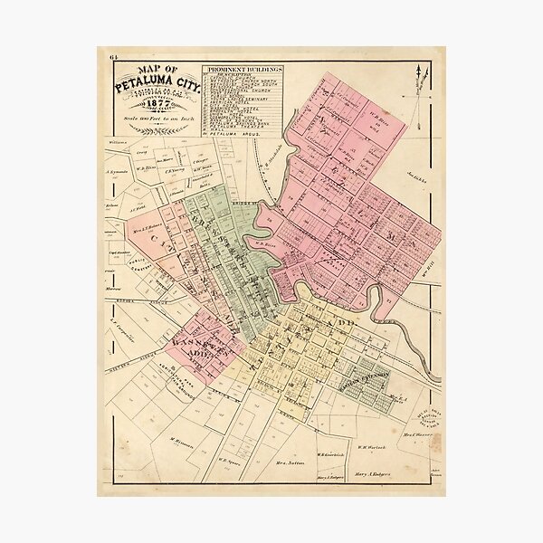 Vintage Map of Petaluma CA (1877) Photographic Print