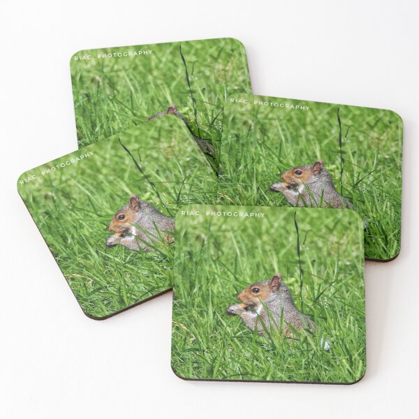 Item preview, Squirrel designed and sold by Riacphotography.