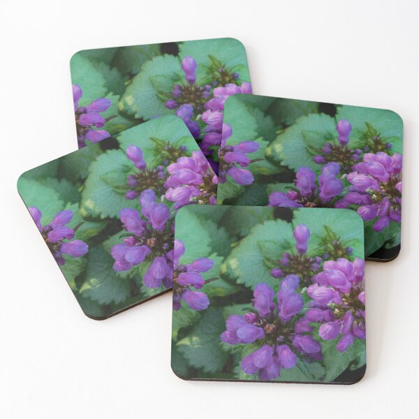 Item preview, Turtle Head Trio designed and sold by Gerda Grice Photography.