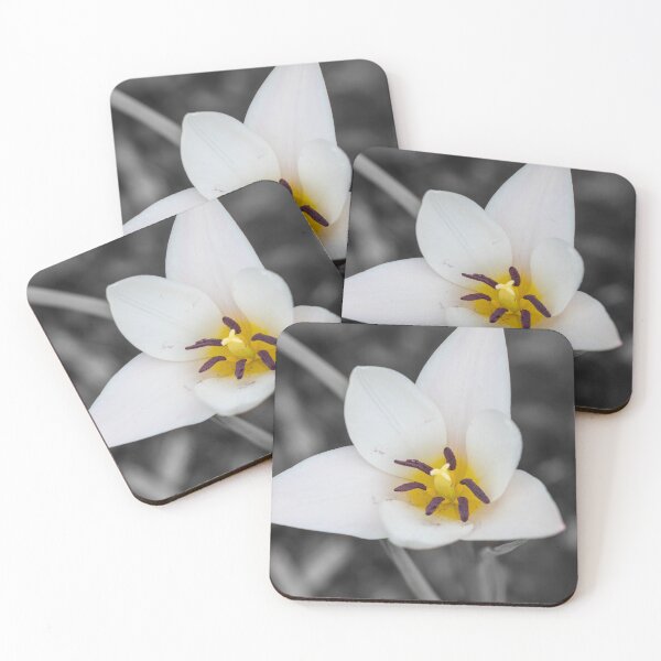 Item preview, Lady Tulip Selective Color designed and sold by mljdwhite.