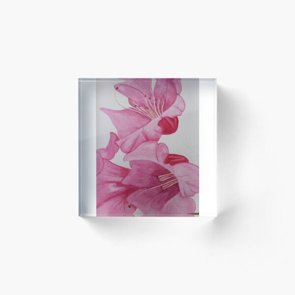 Pink Lilies Acrylic Block
